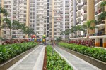 2 BHK 915 Sq.Ft. Apartment in Panchsheel Greens