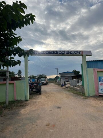  Plot – Exterior View View at Bagepalli - for Sale