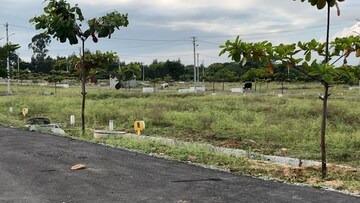  Plot For Sale in Bagepalli