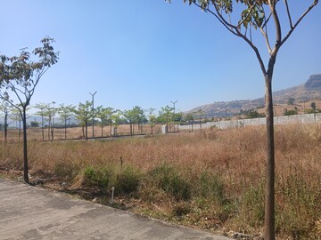Plot Area in  Plot at Peth Road – for Sale