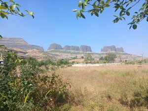 Plot Area in  Plot at Peth Road – for Sale