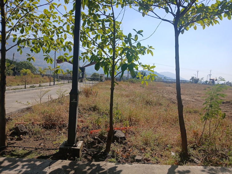 undefined, peth road  90 Sq.Yd. Plot In Peth Road Nashik 9611828