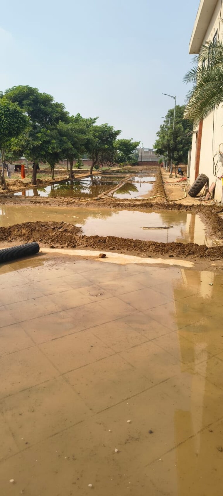 Exterior View, sujanpur  2700 Sq.Ft. Plot In Sujanpur Aligarh 9611847