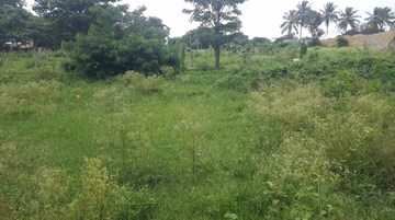  Plot For Sale in Anjanapura