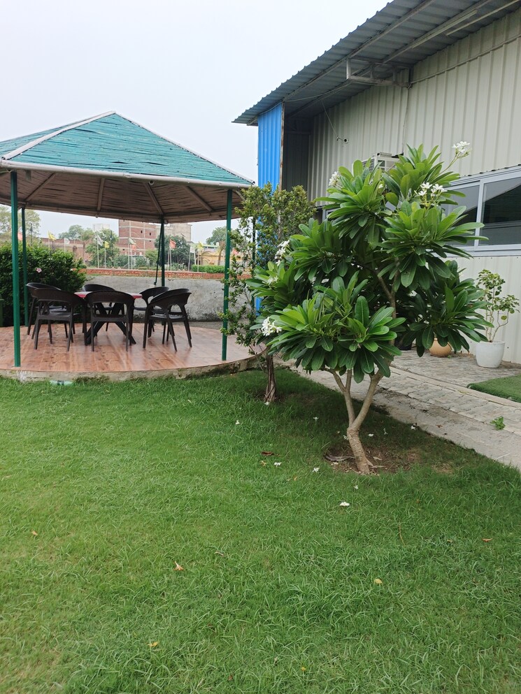 Garden, sector 14 yamuna expressway  500 Sq.Yd. Plot In Sector 14 Yamuna Expressway Greater Noida 9611886