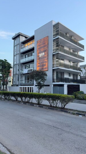 3 BHK Builder Floor For Sale in Sector 6