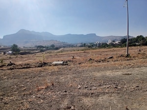 Plot Area in  Plot at Peth Road – for Sale