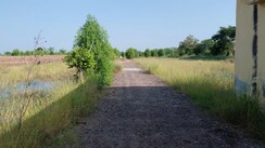 Plot For Sale in Chhatikara