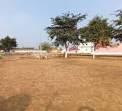 Plot For Sale in Chhatikara