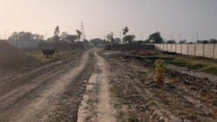 Plot For Sale in Chaumuhan