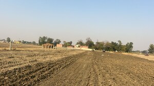 Plot Area in  Plot at Gosainganj – for Sale