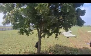 Plot Area in  Industrial Plot at Mihan – for Sale