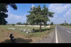 Industrial Plot For Sale in MIHAN