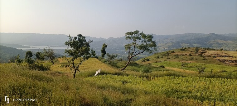 undefined, velhe  20000 Sq.Ft. Plot In Velhe Pune 9612908