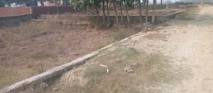 Plot Area in  Plot at Motiram Adda – for Sale