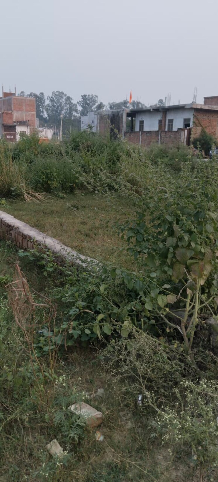 undefined, neelendras-amity-greens  6500 Sq.Ft. Plot In Gomti Nagar Lucknow 9613202