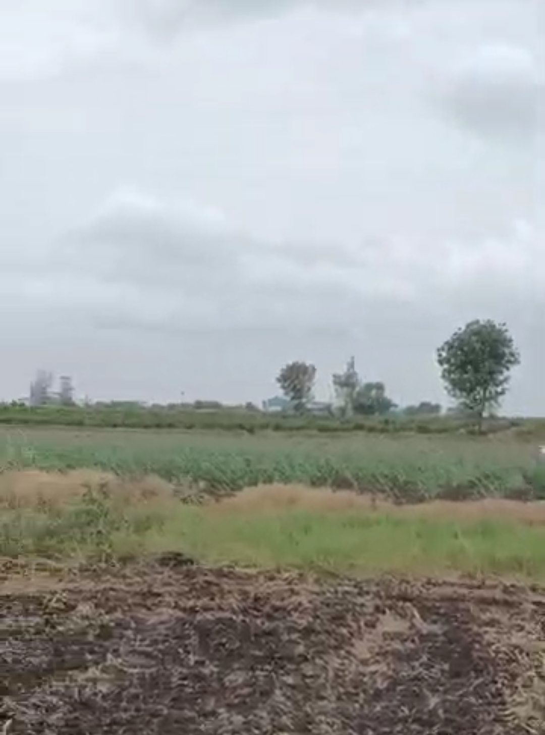 Land For Sale in Wagholi