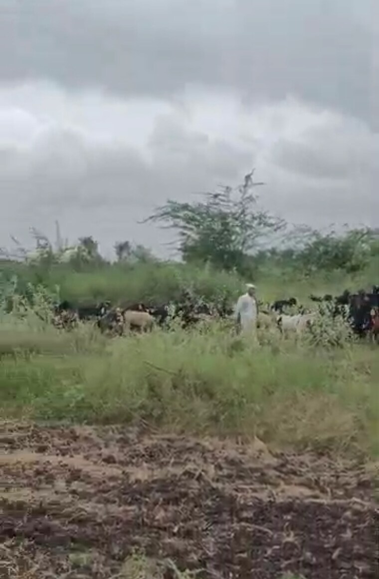 undefined, wagholi Commercial Land 11000 Sq.Ft. In Wagholi Pune 9613693