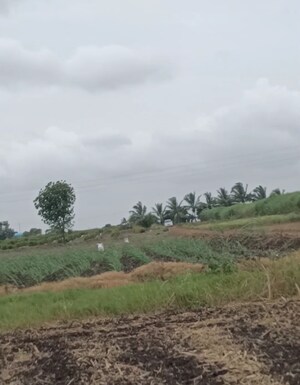 Plot Area in  Land at Wagholi – for Sale