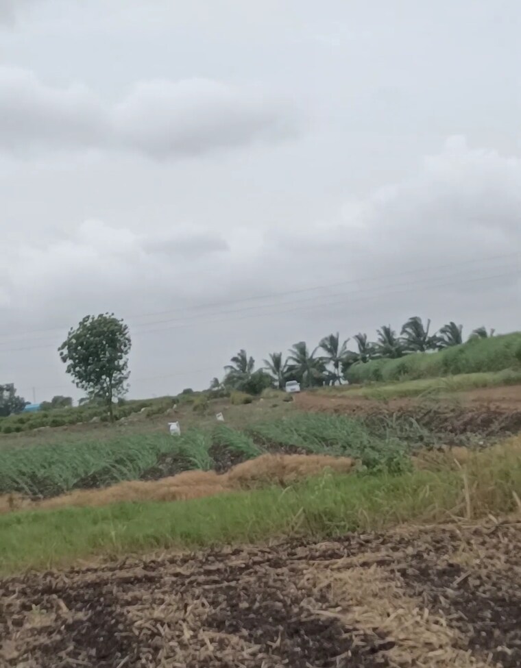 undefined, wagholi Commercial Land 11000 Sq.Ft. In Wagholi Pune 9613693