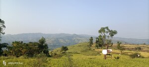  Land For Sale in Velhe