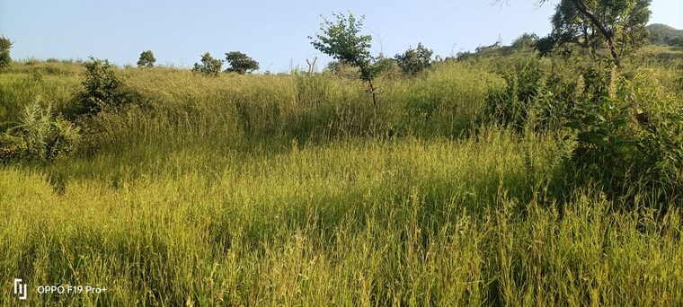 undefined, velhe Commercial Land 1 Acre In Velhe Pune 9613768