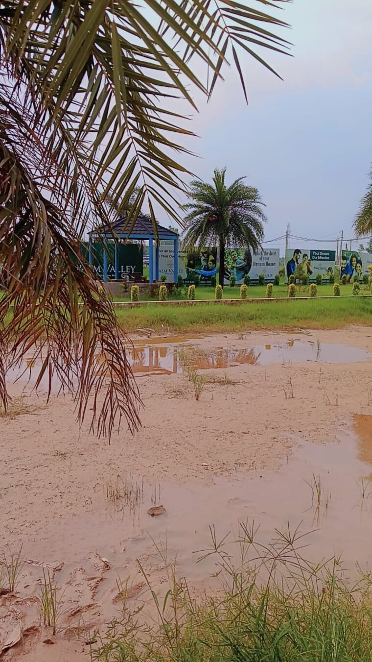 undefined, panchkula urban estate  1350 Sq.Ft. Plot In Panchkula Urban Estate Panchkula 9614841