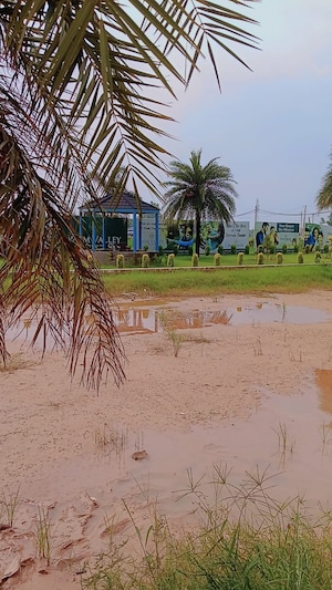 Plot Area in  Plot at Panchkula Urban Estate – for Sale