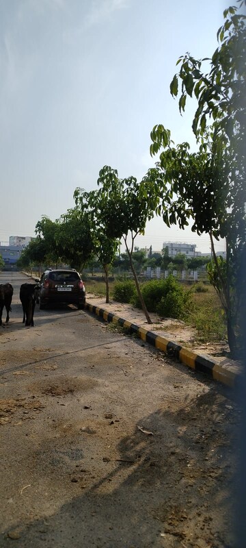  Plot – Exterior View View at Gurram Guda - for Sale