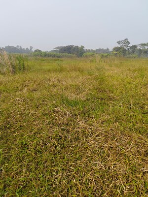 Plot Area in  Plot at Bishnupur – for Sale