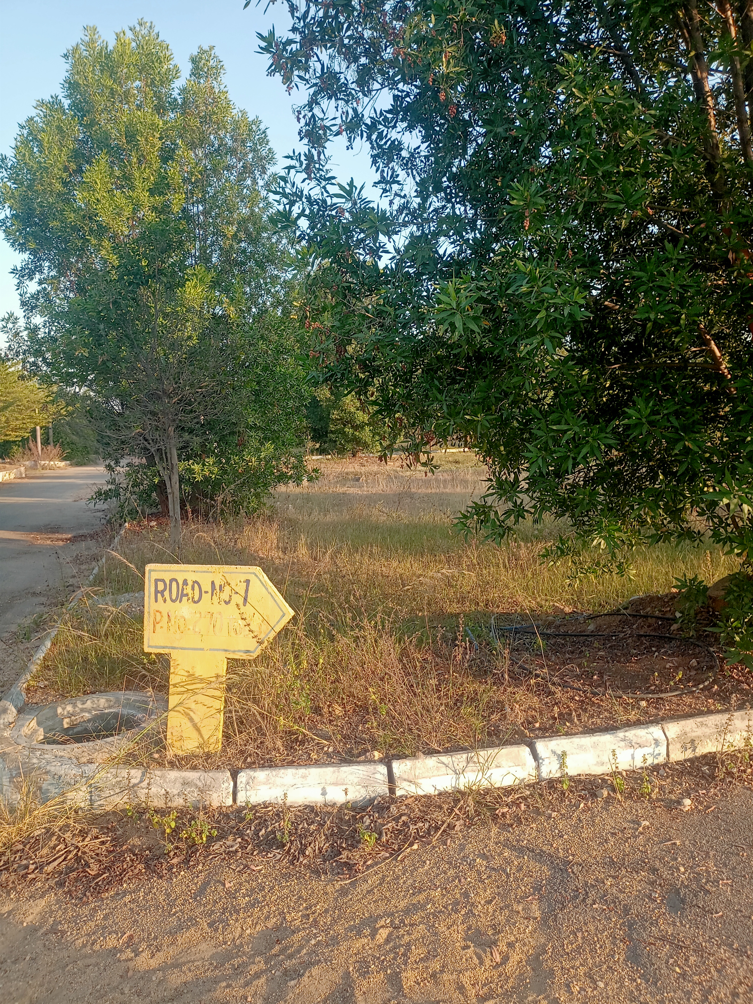 Plot For Sale in Bandaraviryal