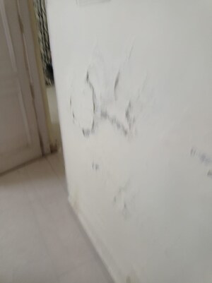 Room in 3 BHK Apartment at Sector 5 – for Rent