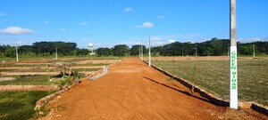 Plot Area in  Plot at Kalinga Vihar – for Sale