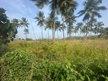 Plot Area in  Plot at Kolazhy – for Sale