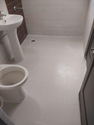 Bathroom in 2 BHK Apartment at Amrapali Zodiac, Sector 120 – for Sale