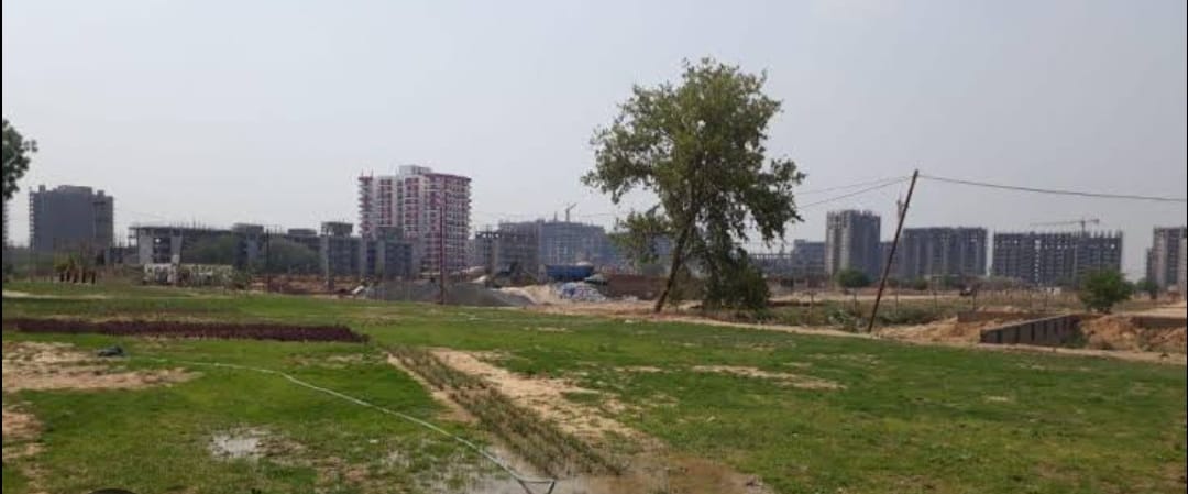 Plot For Sale in Sector 83 Godrej Plot 