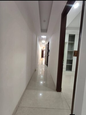 3 BHK Builder Floor For Rent in Malviya Nagar