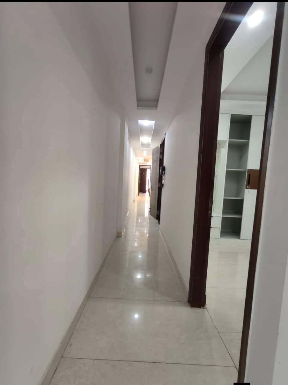 3 BHK Builder Floor For Rent in Malviya Nagar 