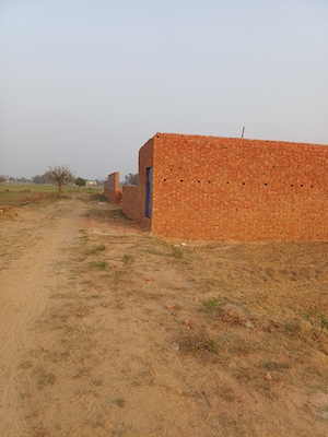  Plot – Exterior View View at Nacholi - for Sale