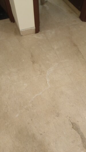 3 BHK Builder Floor For Rent in New Rajinder Nagar