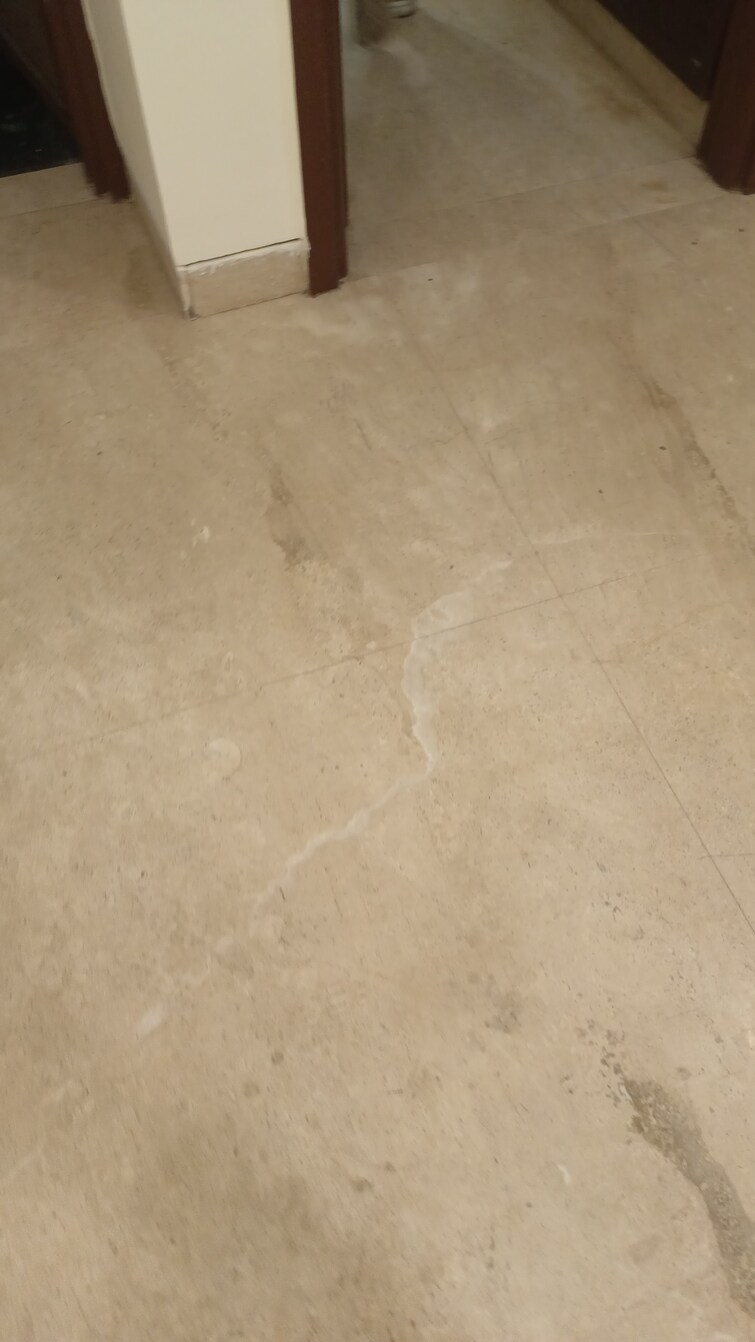 Cover Image, new rajinder nagar 3 Bedroom 900 Sq.Ft. Builder Floor In New Rajinder Nagar Delhi 9616807