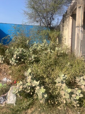 Floor Plan in  Shop at Dera Bassi – for Sale