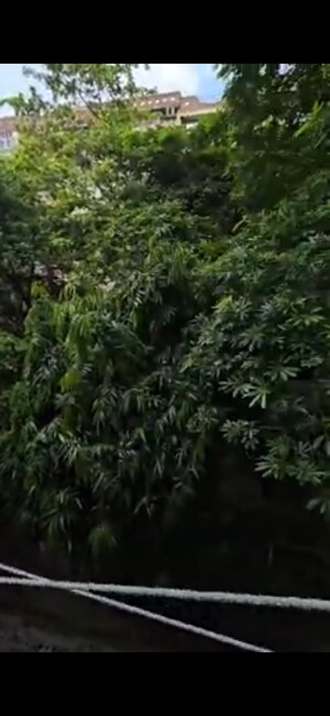 3 BHK Apartment – Garden View at Sampada Sagar Apartments, Sector 62 - for Rent