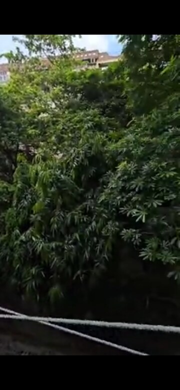 3 BHK Apartment – Garden View at Sampada Sagar Apartments, Sector 62 - for Rent