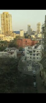 1.5 BHK 495 Sq.Ft. Apartment in Alfa Mana Residence