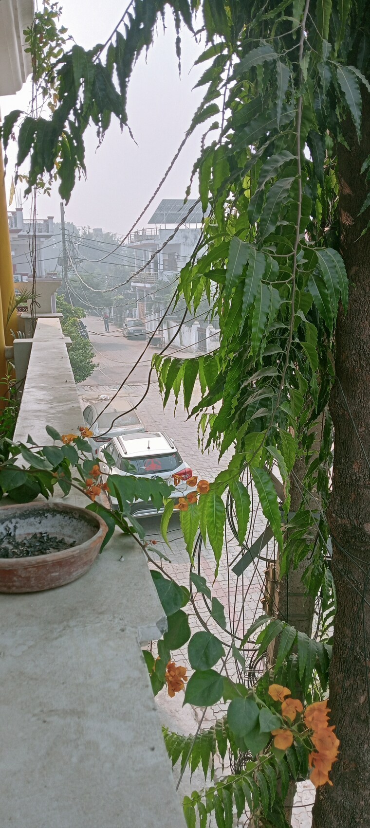 Exterior View, rajajipuram 2.5 Bedroom 1800 Sq.Ft. Independent House In Rajajipuram Lucknow 9617102