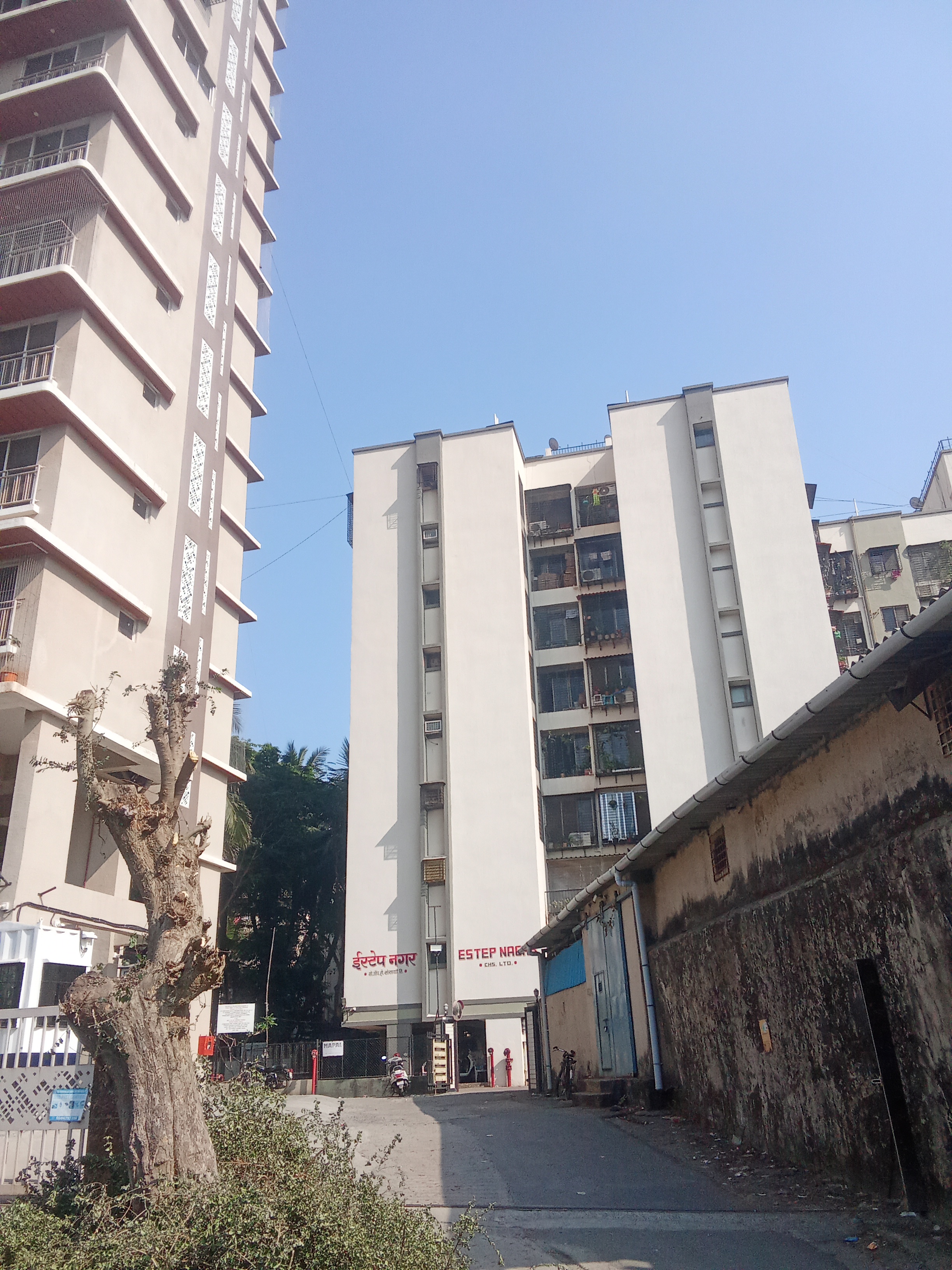 1 BHK Apartment For Rent in Estep Nagar CHS