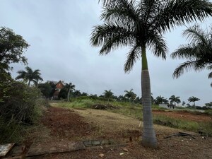  Plot For Sale in Signature Tulips, Hoskote