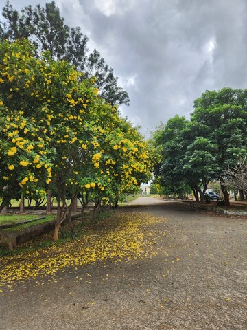  Plot – Garden View at Signature Tulips, Hoskote - for Sale