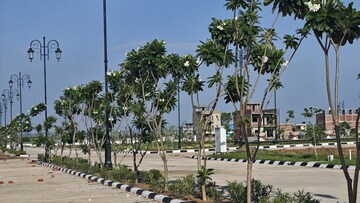  Plot For Sale in Panchkula Urban Estate